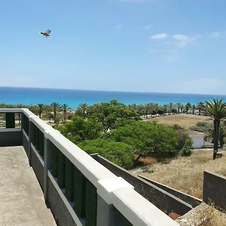 Casa Do Velho Dragoeiro בית הארחה
